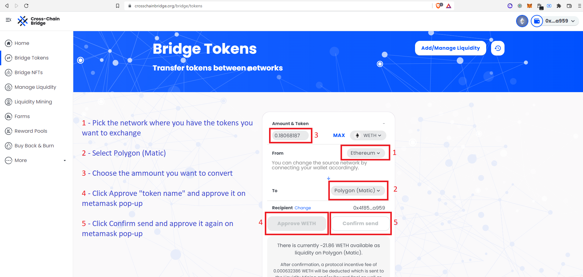 bridge2